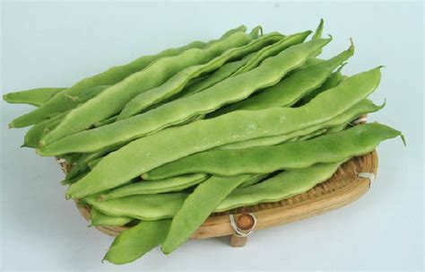 扁豆是几月份种的