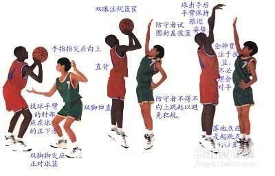 打篮球的基本动作教程