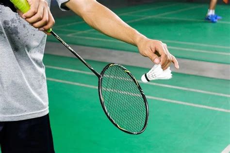 打网球和羽毛球哪个适合减肥