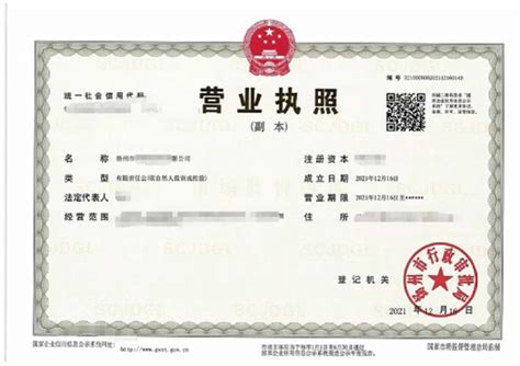 扬州企业电子执照