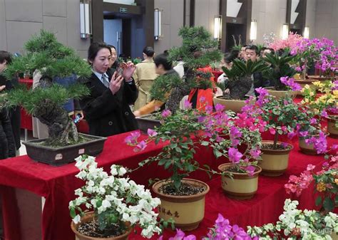扬州花卉苗木供应商