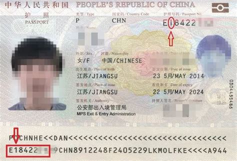 护照号码怎么编号