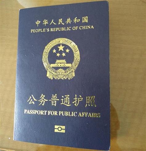 护照回执在哪里办