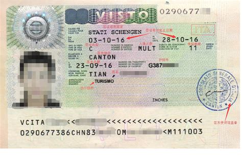 护照的签证页图解