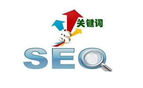 搜索引擎seo排名规则