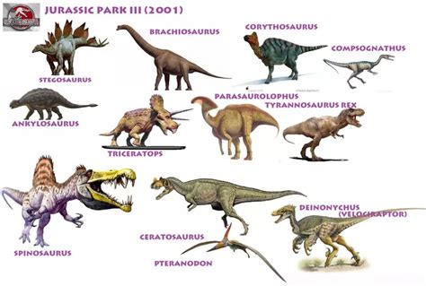 播放各种恐龙的名称