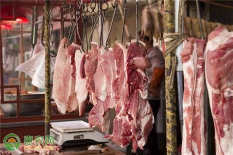新乡今日猪肉价格多少