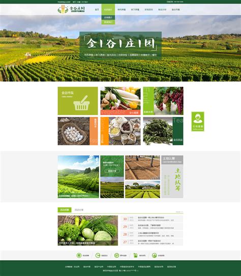 新农业公司网站建设方案