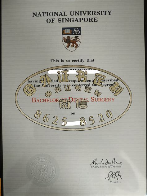 新加坡国立大学毕业证与学位证