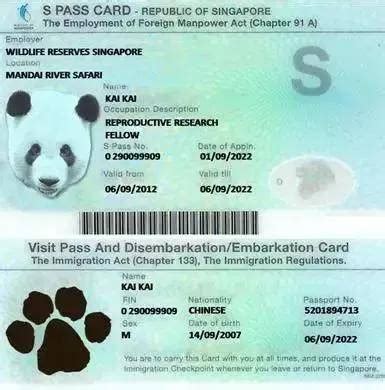 新加坡工作签证开银行卡