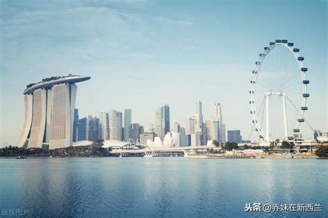 新加坡本地留学中介机构推荐