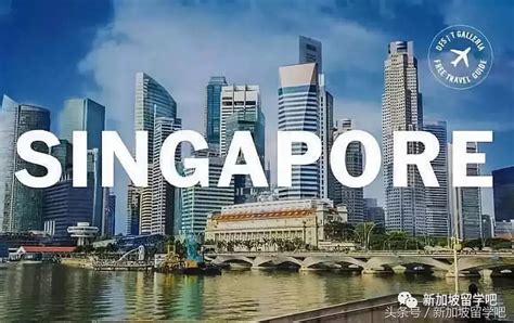 新加坡狮城华人网