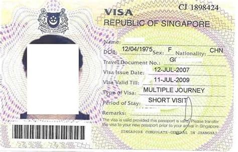 新加坡电子签证打印黑白