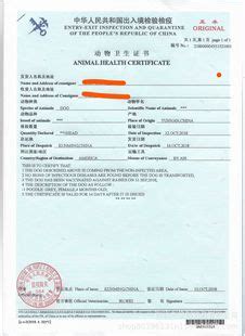 新西兰认可的兽医证书
