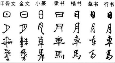 方言niao的汉字是什么