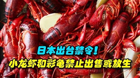 日本小龙虾禁令