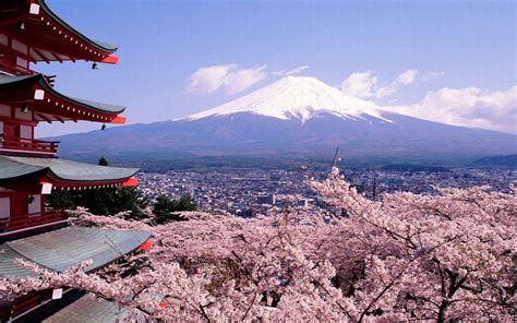 日本旅游资产证明2020年图片