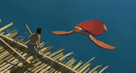 日本电影红海龟免费观看
