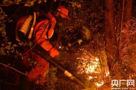 昆明市五华区森林火灾最新事件