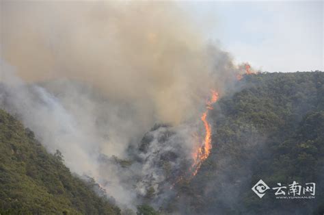 昆明西山区森林大火