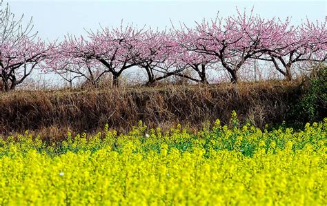 春暖花开的季节中国经济复苏