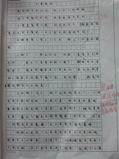 春节传统文化作文300字