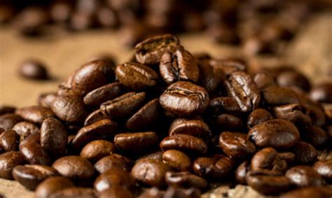 最好的咖啡豆排行榜
