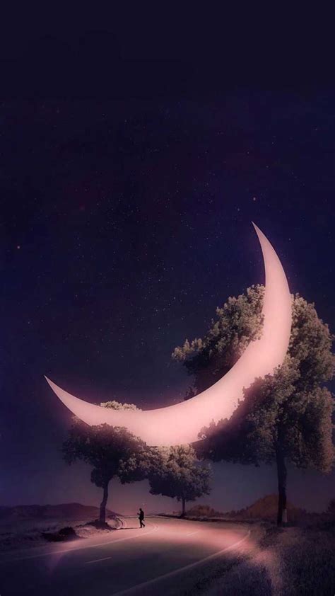 月亮比星星温柔