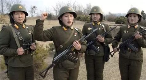 朝鲜女侦探员图片