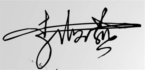 李海燕的100种艺术签名