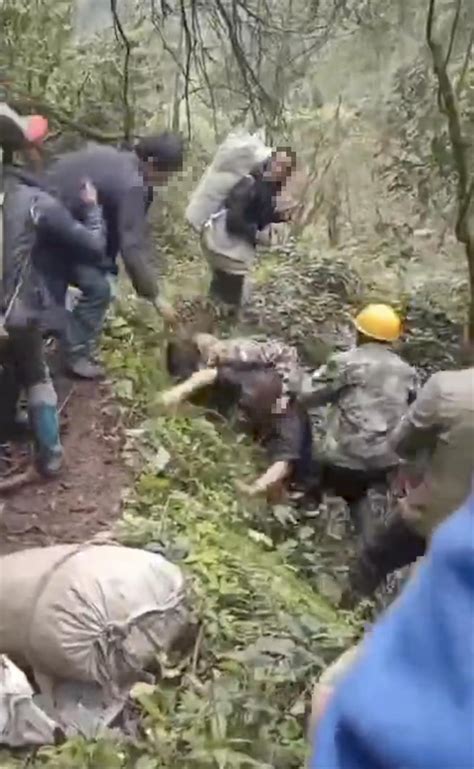 村民挖笋时与山林承包方起冲突