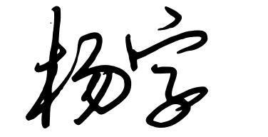 杨字的艺术签名