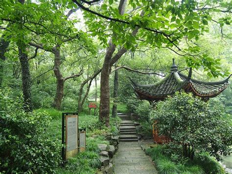 杭州植物园什么时候去最好