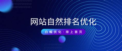 杭州网站自然优化系统排名