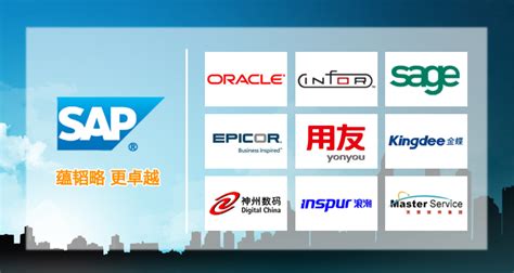 杭州seo软件方案公司排名