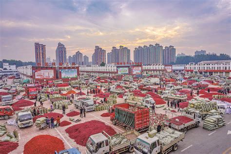 柘城辣椒市场每天都有交易吗