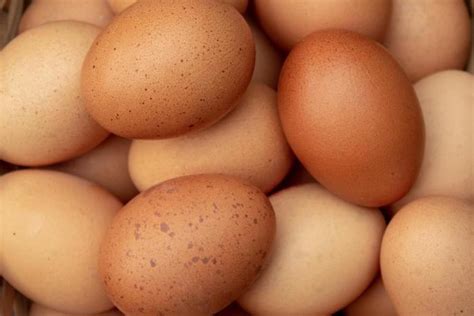 柴鸡蛋和普通鸡蛋的区别