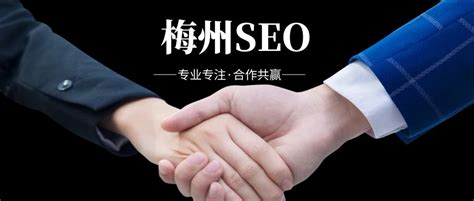 梅州谷歌seo营销公司地址