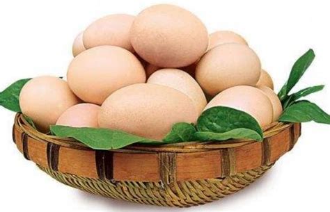 梦到一大堆鸡蛋是什么意思