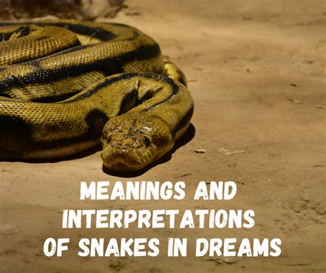 梦到蛇心理学怎么解释