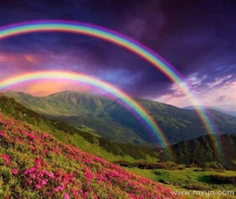 梦见很多彩虹是什么征兆周公解梦