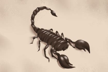 梦见捉蝎子是什么预兆