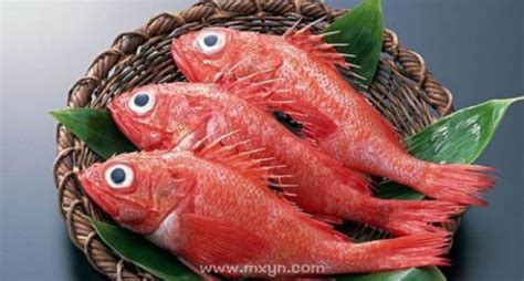 梦见红鱼什么预兆周公解梦