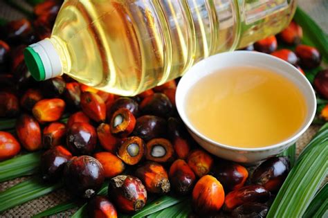 棕榈油为什么有固体的