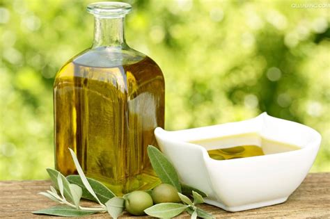 橄榄油的油脂含量