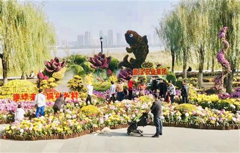 武汉农业seo推广公司排名