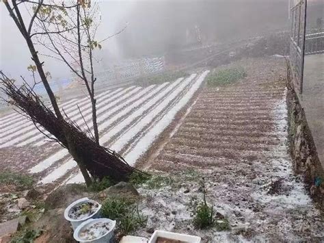 武汉冻雨绝美图片图文