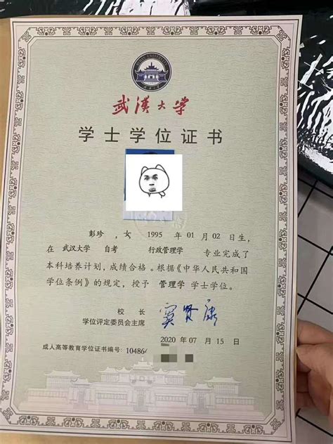 武汉大学学生学位证