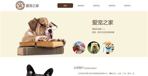 武汉宠物网站