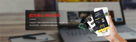 武汉网站建设优化案例